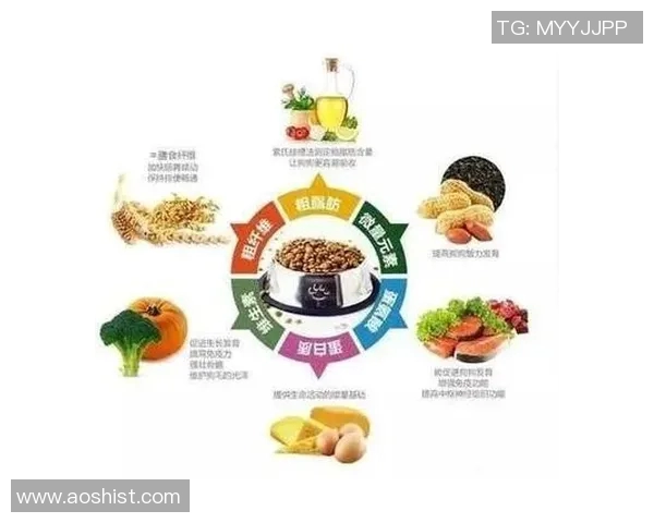 水果与蔬菜的营养价值与健康益处解析,打造美味又营养的饮食新选择 水果与蔬菜的营养价值与健康益处解析,打造美味又营养的饮食新选择