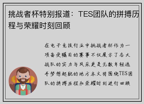 挑战者杯特别报道：TES团队的拼搏历程与荣耀时刻回顾